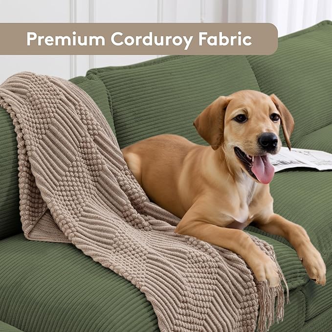 Quick setup, room-friendly delivery